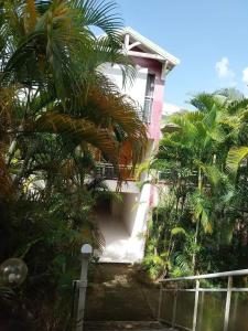 a house with palm trees in front of it at Appartement confortable à Sainte-Marie de 72 m² in Fond Saint-Jacques +14 photos