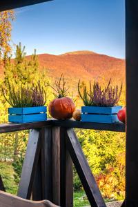 two pumpkins sitting on top of a wooden railing at Bieszczadzki Domek z widokiem na połoniny in Wetlina
