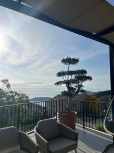 a balcony with a tree and chairs and a view at Vila panorama in Cetinje
