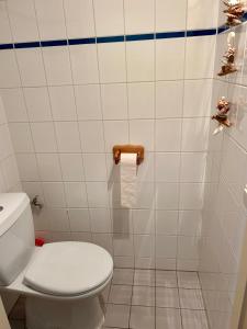 ユリアーナドルプにあるDe Duinroosのトイレとシャワー付きのバスルーム +22枚の写真