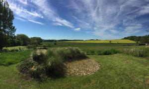 a field with tall grass and a blue sky at Möwe in Lancken-Granitz