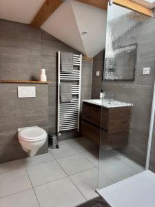 a bathroom with a toilet and a glass shower at Chez Delphine in Doizieux +11 photos