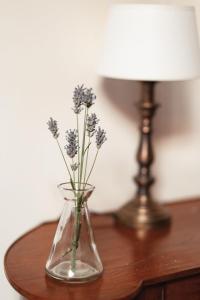 een vaas met bloemen op een tafel naast een lamp bij Apollo in Pesaro