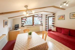 Μια τηλεόραση ή/και κέντρο ψυχαγωγίας στο Ciasa Miriam