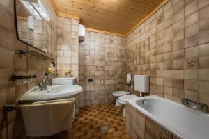 Ένα μπάνιο στο Ciasa Miriam +43 φωτογραφίες