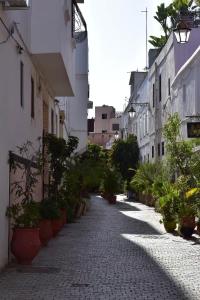 Un callejón con plantas en macetas al costado de un edificio. en L'Oa, en Rabat