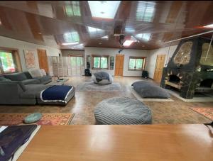 TapantíZen Villa的带沙发和壁炉的客厅