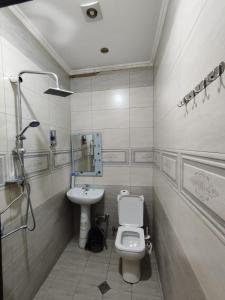 バクーにあるTuran EMK Hotelのトイレと洗面台のあるバスルーム