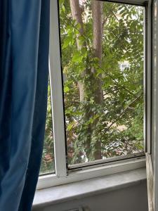 Fotografie z fotogalerie ubytování Cozy Room in Heart of Istanbul v destinaci Istanbul + 10 fotografií