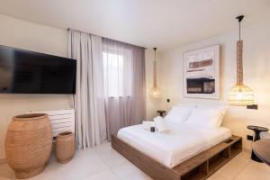 een slaapkamer met een groot bed en een televisie bij Appartement de charme-Luxe, douceur et harmonie in Lyon