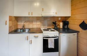 Jonstorpにある1 Bedroom Gorgeous Home In Våxtorpのコンロとシンクのあるキッチン