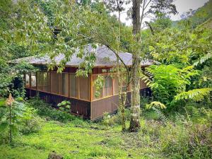 Κήπος έξω από το River Cabin 1BR Breathtaking Chirripó Retreat +15 φωτογραφίες