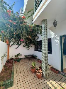 Κήπος έξω από το Villa Riad Style - WIFI & Garden