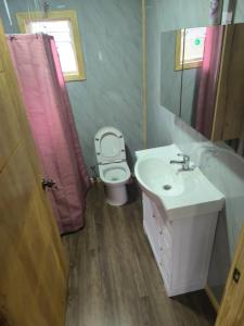 a bathroom with a sink and a toilet and a mirror at Cabaña La Casona in Chaitén