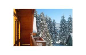 Το 3 Bedroom Awesome Apartment In Mrkopalj τον χειμώνα