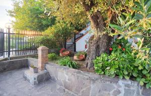 Zahrada ubytování Nice Apartment In Casal Velino With Wifi