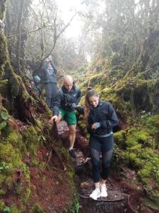 un grupo de personas caminando por un sendero en el bosque en A3A Oastel CoLiving, en Tanah Rata