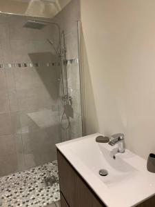 a bathroom with a shower with a sink and a shower at Appartement spacieux avec vue sur la mer à Le Marin in Le Marin +21 photos