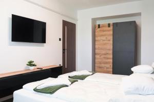 a bedroom with two beds and a flat screen tv at Green Palm Apartment in Makó