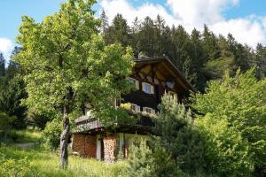 a house in the woods with a tree at Bauernhaus Spathen in Santa Valburga St. Walburg