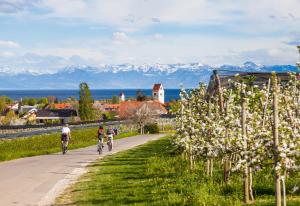 three people riding bikes down a road with mountains in the background at Bodensee-Suite I Seenähe - Heimkino - Wintergarten in Öhningen