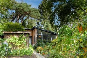 ein Garten mit einem Holzschuppen und einigen Pflanzen in der Unterkunft Studio Bosrijk Bilthoven in Bilthoven