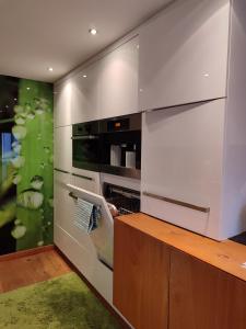 a kitchen with an oven in a wall at KOSIS Townhouse mit Spa Zugang im KOSIS Sports Lifestyle Hotel in Fügen