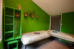 ein grünes Zimmer mit zwei Betten und Regalen mit Pflanzen in der Unterkunft Studio Bosrijk Bilthoven in Bilthoven