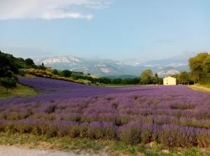 Příroda nedaleko prázdninového domu