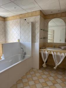 a bathroom with a tub and a sink and a mirror at Le Studio in Condeissiat