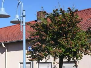 AltengronauにあるFerienwohnung in ehemaliger Bankの街灯のある建物の前の木