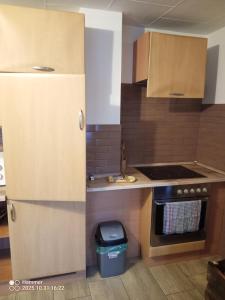 kuchnia z lodówką i kuchenką w obiekcie Apartmán u Maxů w mieście Strašice