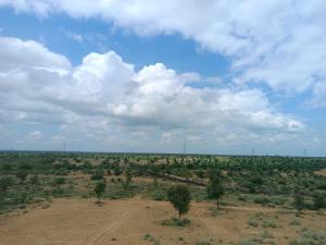 een open veld met bomen en een bewolkte hemel bij Raisar Desert Camp in Jāmb
