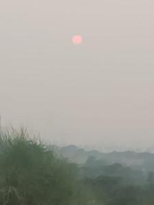 een frisbee in de lucht boven een veld bij Raisar Desert Camp in Jāmb +6 foto's