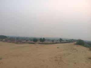een zandveld met bomen in de verte bij Raisar Desert Camp in Jāmb