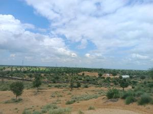 een open veld met bomen en een blauwe lucht met wolken bij Raisar Desert Camp in Jāmb