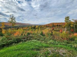 a view of a field with fall foliage at Off-Grid Cabin Nestled Among Nature with Lovely Landscape Views in Maine in Lavertue