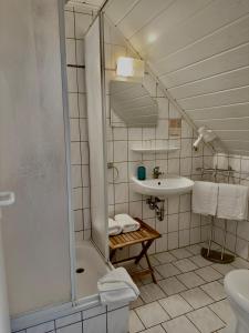 a bathroom with a shower and a sink at Pension an der Dolzke in Kaupen