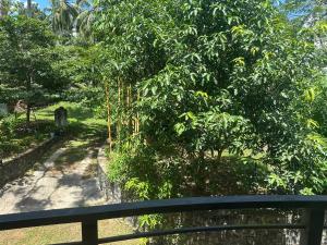 Afbeelding uit fotogalerij van Bamboo Tree Villa 