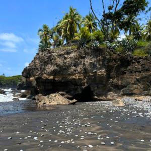 Příroda nedaleko chaty + 11 fotografií