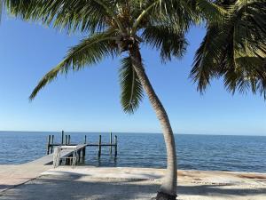 a palm tree and a pier on the beach at Tropical Sunsets in Marathon +31 photos