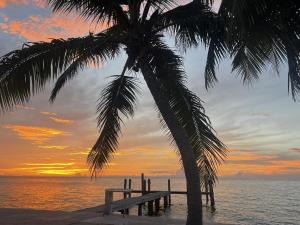 a palm tree and a pier on the beach with a sunset at Tropical Sunsets in Marathon