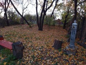 a fire hydrant and a bench in a park with leaves at La Râu - Căsuța de sus in Cîmpulung