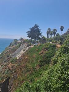 una colina con árboles junto al océano en Maravillosa vista, en Mirasol 11 fotos más