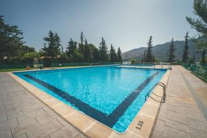 メキネンサにあるTres Estrellas Mequinenzaの青い水の大きなプール