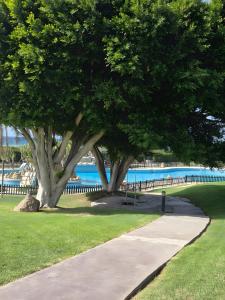 Bazén v ubytování Atlanterra Playa 4 nebo v jeho okolí