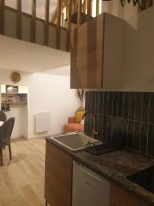 una cocina con fregadero y encimera en Coquet Studio avec Jardin à Ballan-Miré, en Ballan-Miré 6 fotos más