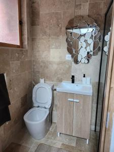 un baño con inodoro y lavabo en Coquet Studio avec Jardin à Ballan-Miré, en Ballan-Miré