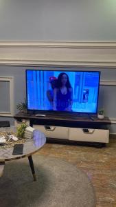 Un televizor și/sau centru de divertisment la PM Studios Appart +2 fotografii