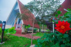 Zahrada ubytování Khanzana Cabin and Camp Telaga Menjer + 22 fotografií